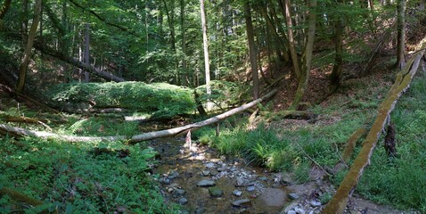 Wildes Bayern