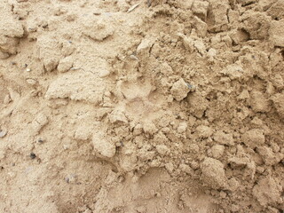 Footprints on the river dried sand.