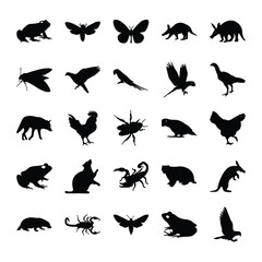 Glyph Icons Collection of Animals