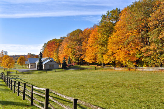 A horse farm surrounded by autumn color in Ontario, Canda.