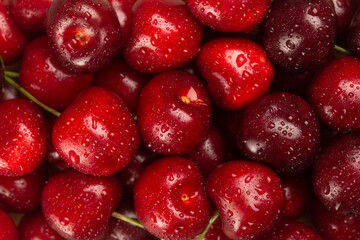 Close-up of fresh ripe cherries with water drops.Berries background.