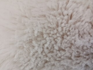 Texture