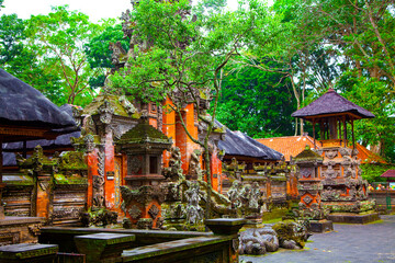 Obraz premium Ubud Monkey Forest, Bali, Indonesia