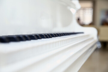 close frontal . The piano was set up in the music room to allow the pianist to rehearse before the classical piano performance in celebration of the great businessman's success .close-up of piano keys
