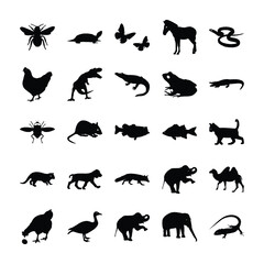 
Wild Animals Icons
