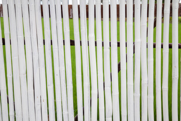 Bamboo background for decoration background / Pattern