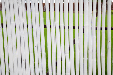 Obraz premium Bamboo background for decoration background / Pattern