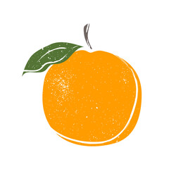 Fruit. Cute sour orange with green leaflets. Cartoon sketch, juicy citrus, delicious. Great for postcards, stickers, fabric and textile. White isolated background, vector illustration, print.