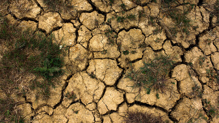 Cracked clay