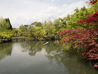 Fototapeta na wymiar Jardines del Templo Eikando, en Kioto, Japón