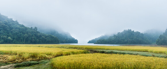 Panorama of hills, lake and rice cultivation during a foggy morning near Rupa Lake in Pokhara,...