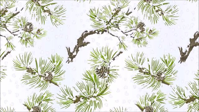 Video seamless loop animation of illustration pine various branches and cones needles and snow  vintage  botanical Christmas background hand draw motion
 