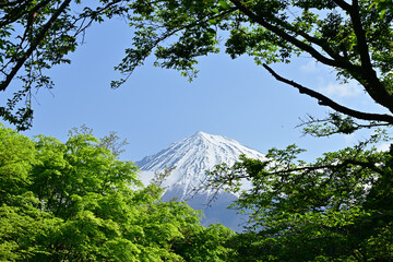 I went to a ranch with my family by ferry.