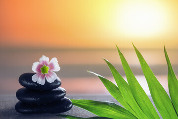 Obraz na płótnie Canvas Steine mit Wassertropfen, Blume, Palmenblatt am Meer bei Sonnenuntergang