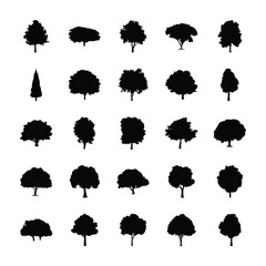 
Evergreen Trees Icons 

