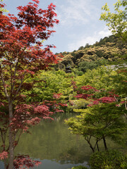 Jardines del Templo Eikando, en Kioto, Jap&oacute;n