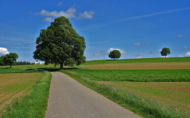 Landschaft auf der Schwäbischen Alb bei St.Johann-Bleichstetten