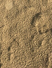 background wet sand after rain on the beach of the city