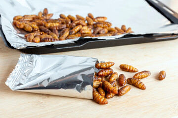 Silkworm Pupae insects for eating as ready meal food. Chrysalis silkworm cooked is snack in baking tray and in foil wrap bag, it is good source of protein edible for future. Entomophagy concept.