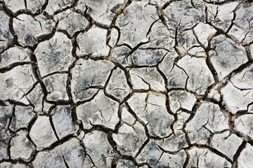 Pattern of cracks in dried mud in an estuary