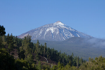 Parque Nacional del Teide (canarias), España.