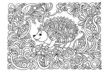 Fototapeta na wymiar coloring book, hedgehog, antistress, for adults, for children, hand drawing, doodle, sketch, vector illustration