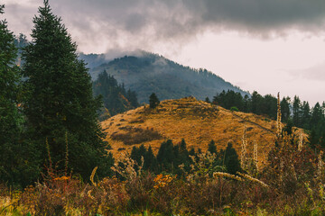 Obraz premium Poon Hill viewpoint at noon