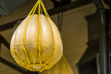 provolone cheese background