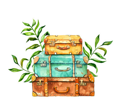 Vintage travel suitcase decorated with palm leaves, watercolor and ink hand drawn illustration, cartoon sketch style