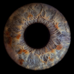 eye of the man