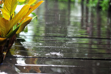 a large drop of tropical rain that fell on the wooden surface