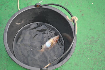 burning cigarette in a ashtray