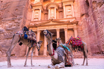 Camels in front of the Treasury