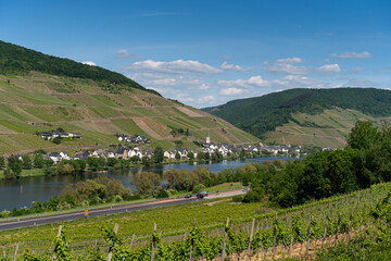 With the bike on the cycle path through the countryside along the river Moselle in Rhineland-Palatinate from Trier to Koblenz in summer