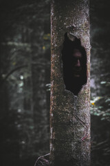 ghosts inside a tree