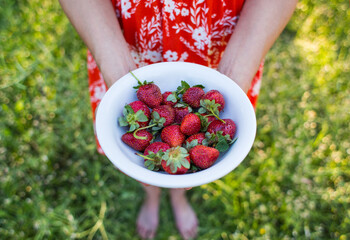 Plate with ripe juicy strawberries in female hands.