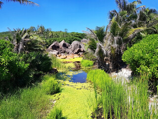 Beautiful landscape of Seychelles.
