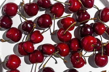 Obraz na płótnie Canvas Fresh seasonal red cherries in strong sunlight