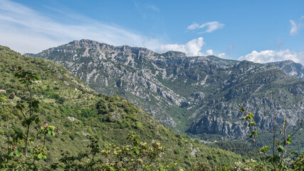 Fototapeta na wymiar Paysage de montagne dans le Sud de la France