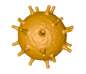 Coronavirus cells or bacteria molecule. Virus Covid-19. Virus isolated on white. Bacteria, cell infected organism. 3d Rendering