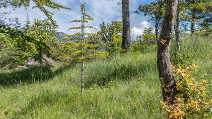 Obraz premium Paysage côtier de bord et de montagne en mer sur la Côte d'Azur - Coastal and mountain landscape by the sea on the French Riviera
