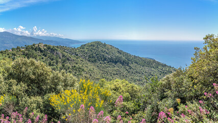Paysage côtier de bord et de montagne en mer sur la Côte d'Azur - Coastal and mountain landscape by the sea on the French Riviera