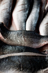 fresh fish on a market