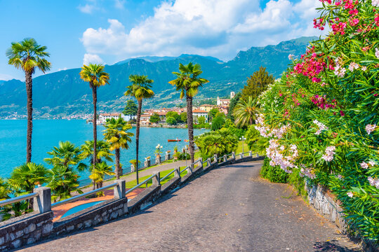 Sulzano viewed behind a garden at lake Iseo, Italy