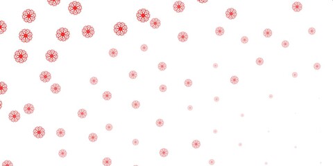 Light Red vector natural backdrop with flowers.