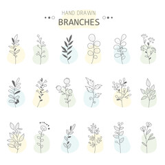Rustic decorative branches and flowers collection. Hand drawn vintage vector design elements. Doodling. Vector illustration.