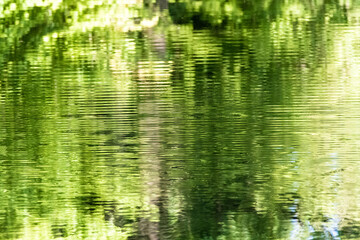 Green enviroment abstract water reflection