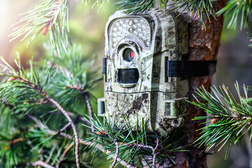 Camera trap or spy photo camera in forest.