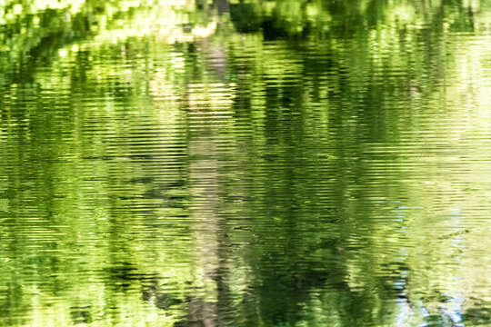 Green Enviroment Abstract Water Reflection