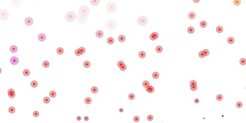 Light Red vector natural layout with flowers.